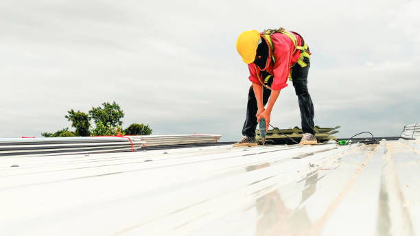 Best Storm Damage Roof Repair  in Lodi, OH