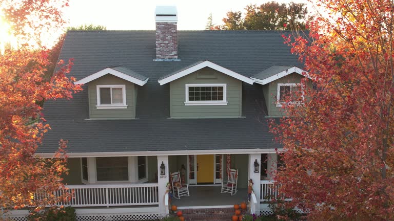 Best Roof Maintenance and Cleaning  in Lodi, OH