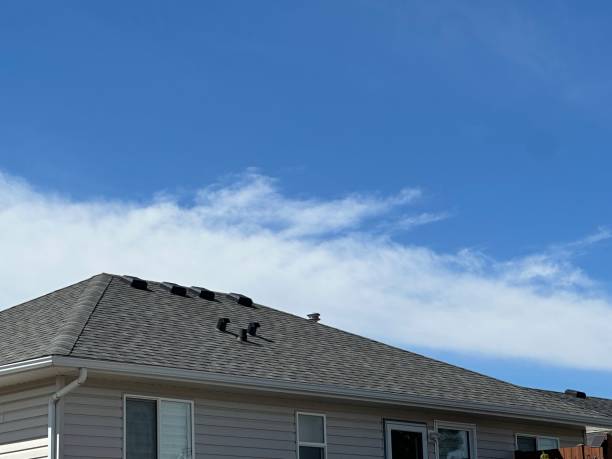 Best Roof Ventilation Installation  in Lodi, OH