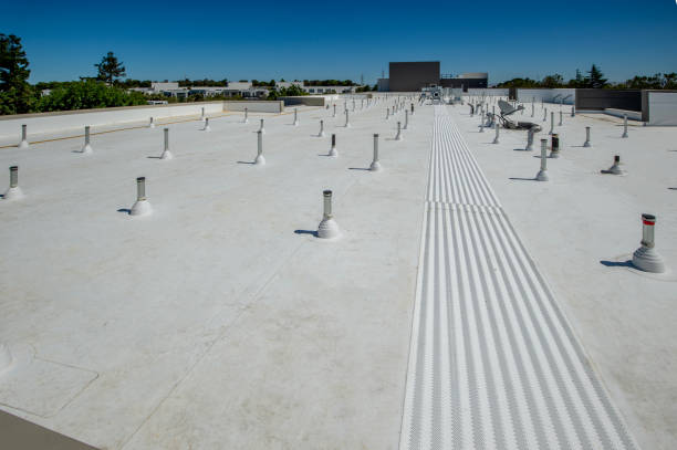 Best Sheet Metal Roofing  in Lodi, OH